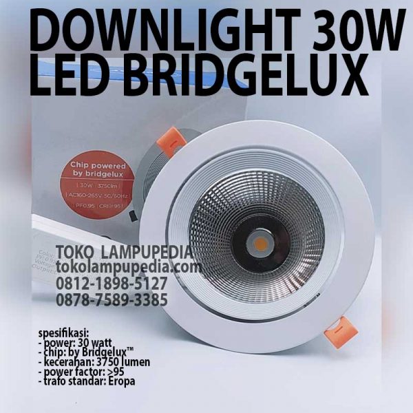 lampu downlight led 30w